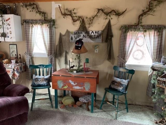 sitting room featuring carpet floors