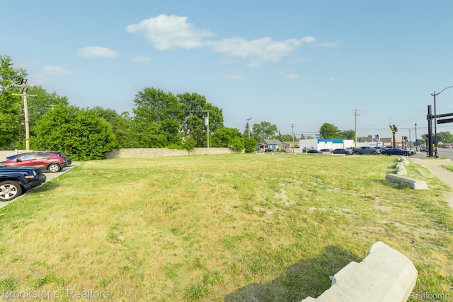 29030 Utica Rd, Roseville, MI 48066 - photo 3