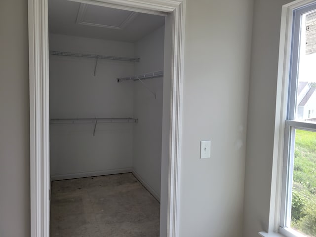 view of spacious closet