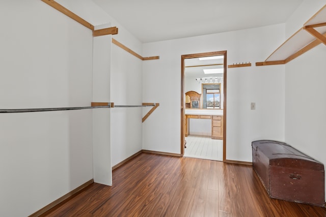 spacious closet featuring dark hardwood / wood-style flooring