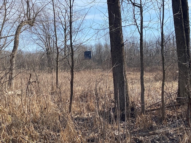 5300 Belford Rd, Holly, MI 48442 - view of nature