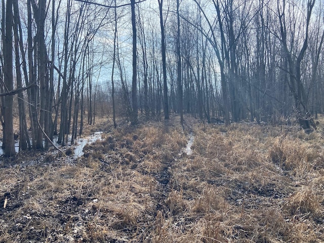 5300 Belford Rd, Holly, MI 48442 - view of woods