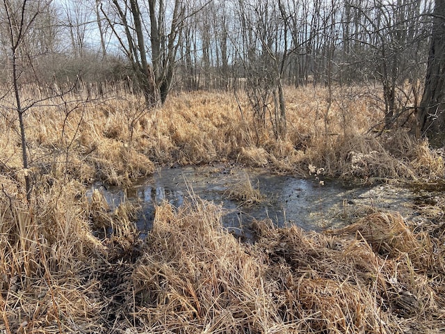5300 Belford Rd, Holly, MI 48442 - view of local wilderness