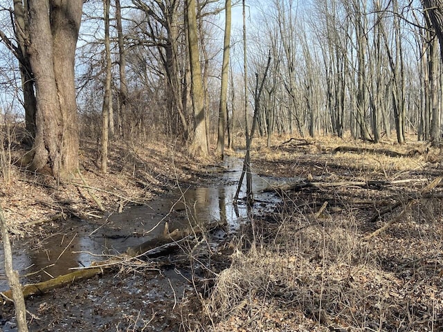 5300 Belford Rd, Holly, MI 48442 - view of local wilderness