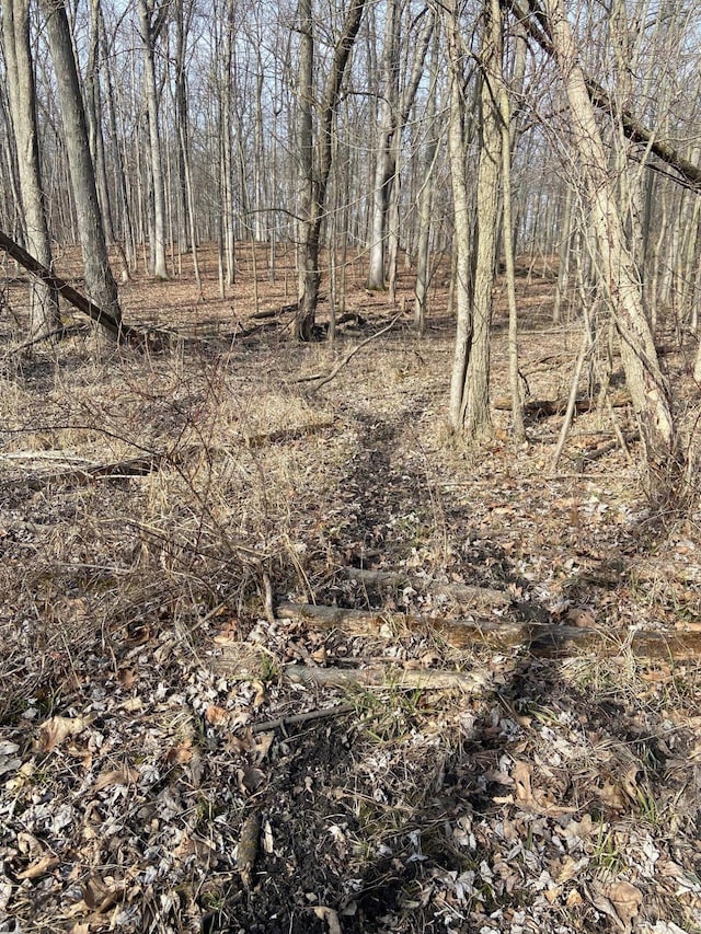 5300 Belford Rd, Holly, MI 48442 - view of local wilderness