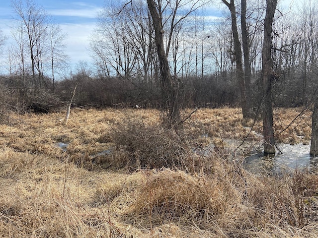 5300 Belford Rd, Holly, MI 48442 - view of undeveloped land