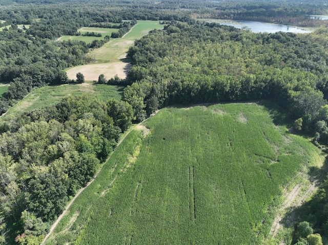 5300 Belford Rd, Holly, MI 48442 - aerial overview of property's location with a large body of water and a heavily wooded area