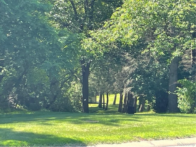 8795 White Lake Rd, White Lake, MI 48386