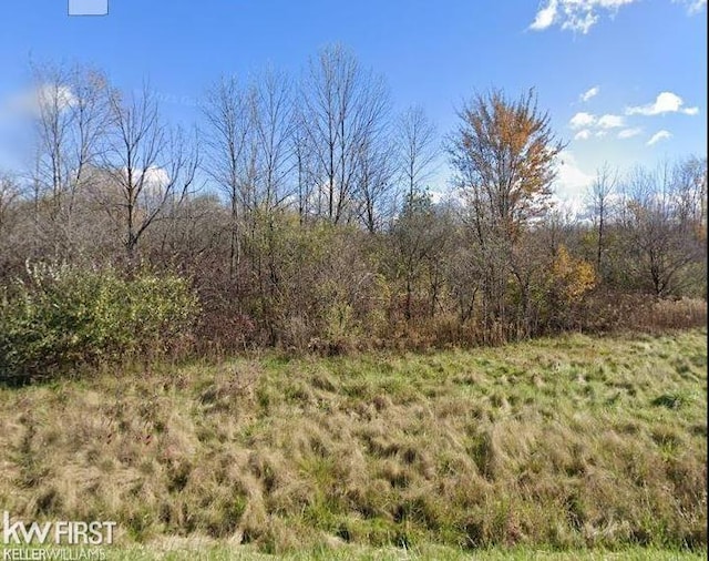 0 Van Vleet, Swartz Creek MI, 48473 land for sale