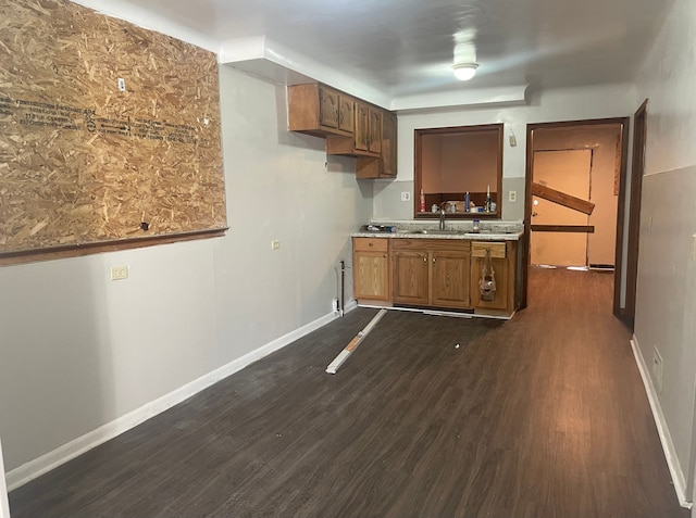 kitchen with dark hardwood / wood-style flooring and sink