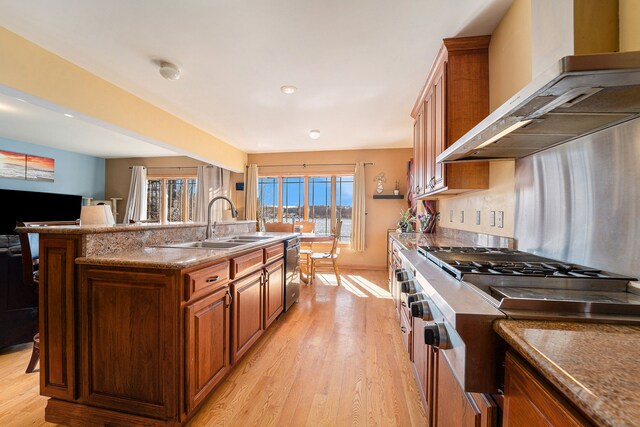 kitchen with wall chimney exhaust hood, stainless steel appliances, a kitchen island with sink, sink, and light hardwood / wood-style flooring