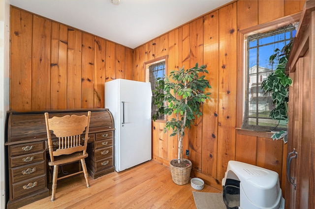 home office with a healthy amount of sunlight, wooden walls, and light hardwood / wood-style flooring