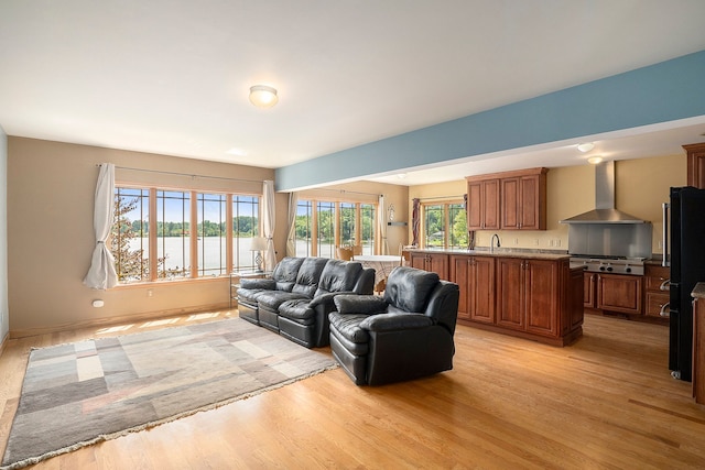 living room with light hardwood / wood-style floors and a wealth of natural light