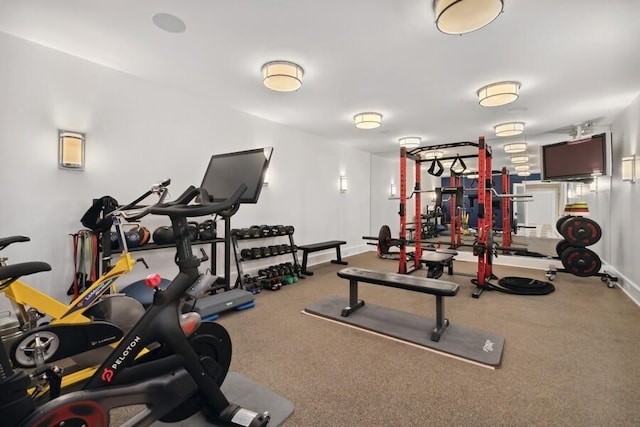 49106 Sun Valley Falls Blvd, New Buffalo, MI 49117 - workout area featuring baseboards