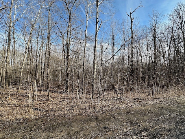 LOT351 Dellwood, Elmira, MI 49730