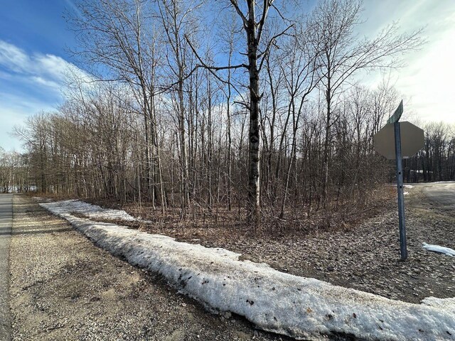 LOT351 Dellwood, Elmira, MI 49730