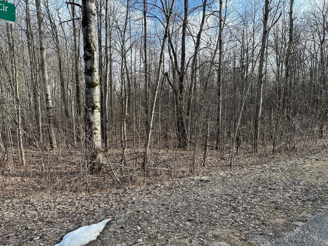 Listing photo 2 for LOT351 Dellwood, Elmira MI 49730