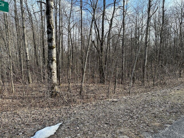 LOT351 Dellwood, Elmira, MI 49730