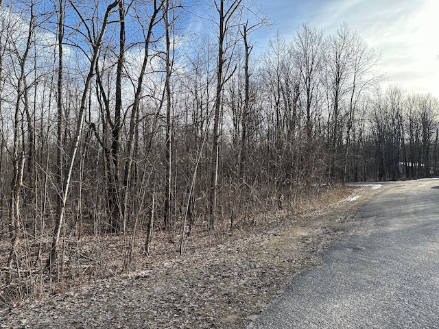 Listing photo 3 for LOT351 Dellwood, Elmira MI 49730