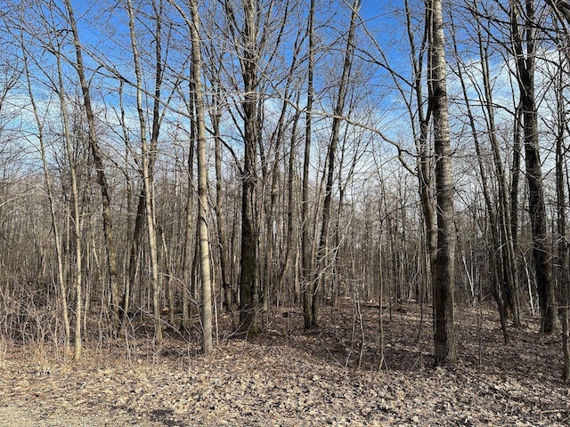 LOT351 Dellwood, Elmira, MI 49730