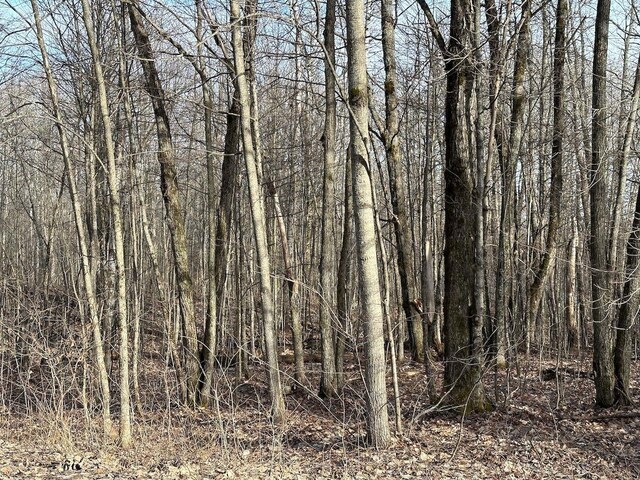 LOT351 Dellwood, Elmira, MI 49730