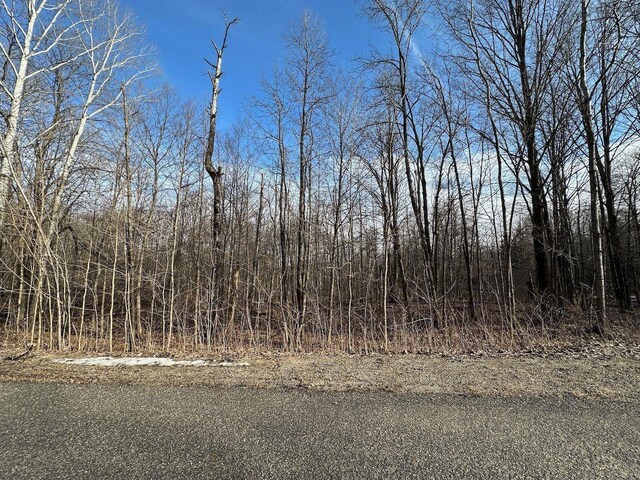 LOT351 Dellwood, Elmira, MI 49730