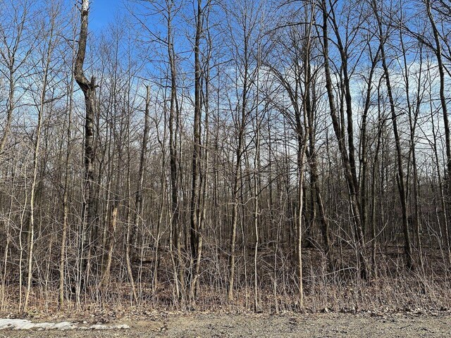 LOT351 Dellwood, Elmira, MI 49730