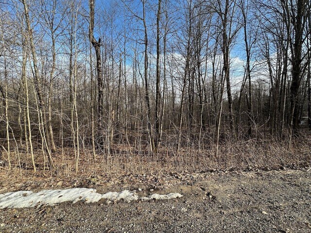 LOT351 Dellwood, Elmira, MI 49730