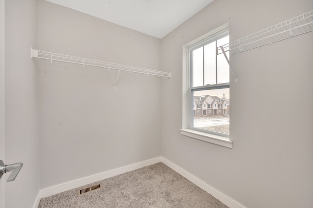 walk in closet featuring light colored carpet