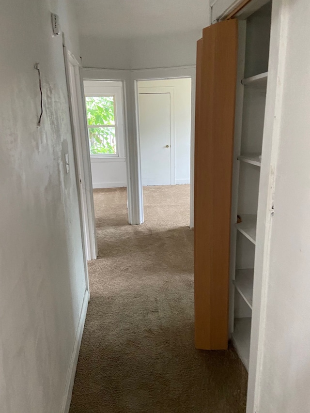 hallway with carpet floors