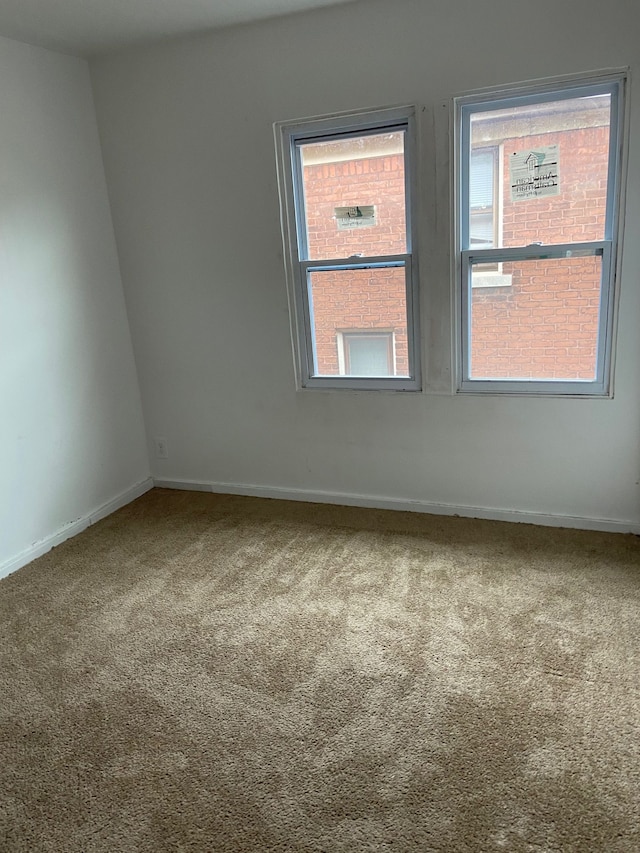 empty room featuring a wealth of natural light and carpet