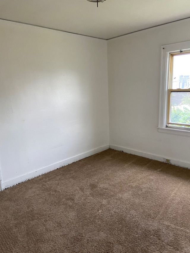 spare room featuring carpet flooring