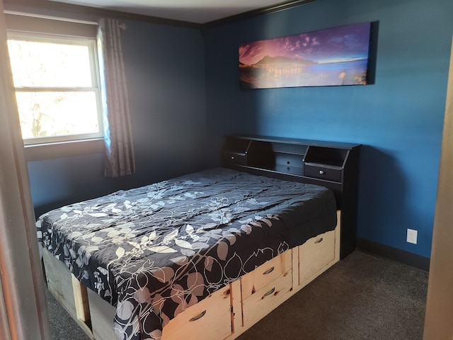 bedroom with dark carpet