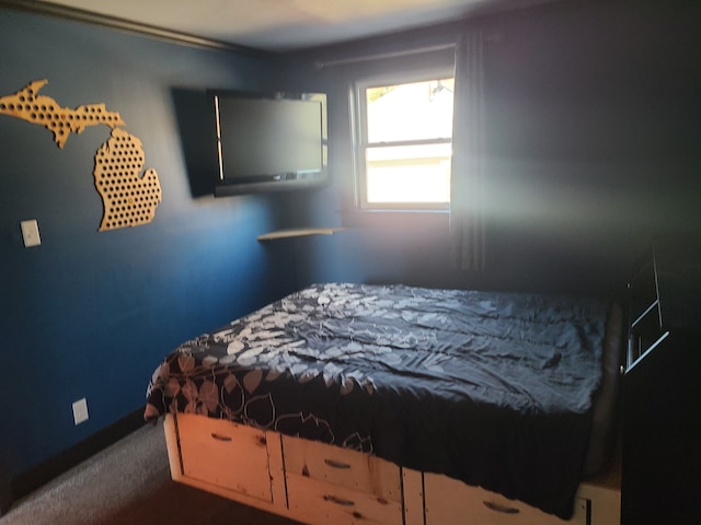 bedroom with dark colored carpet