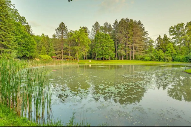 water view