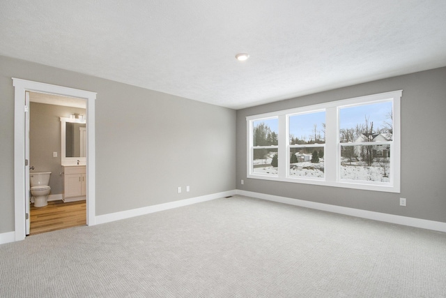 interior space featuring carpet floors and a textured ceiling