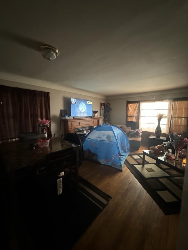 bedroom featuring hardwood / wood-style flooring