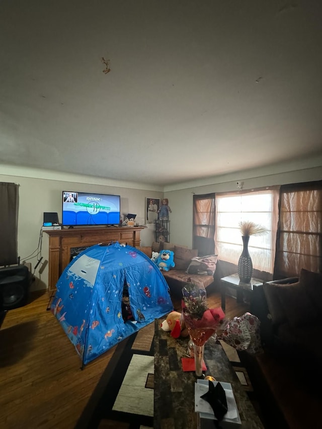 bedroom with hardwood / wood-style flooring