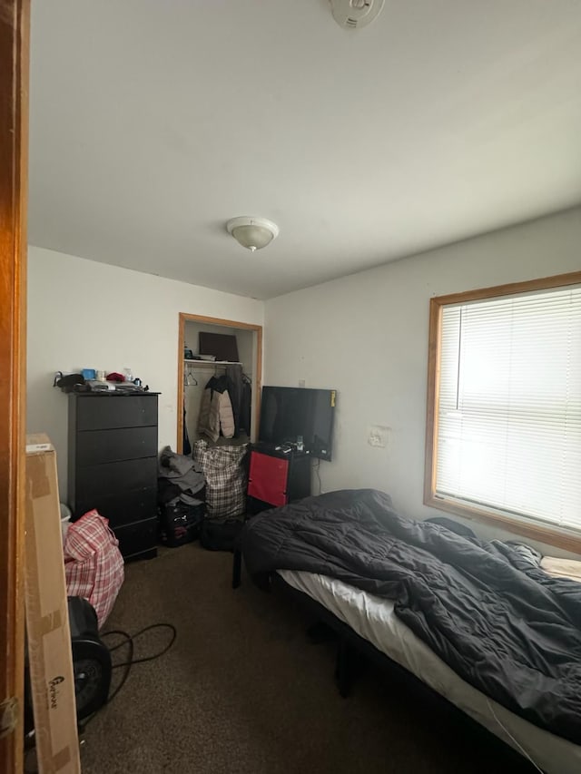 bedroom with carpet flooring and a closet