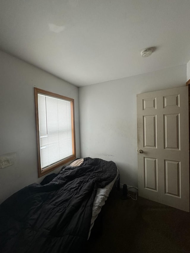 bedroom featuring carpet floors