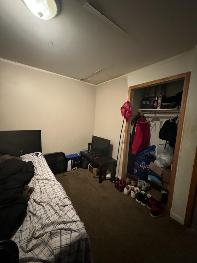 20920/2 Moross Rd, Grosse Pointe, MI 48236 - bedroom featuring carpet and a closet
