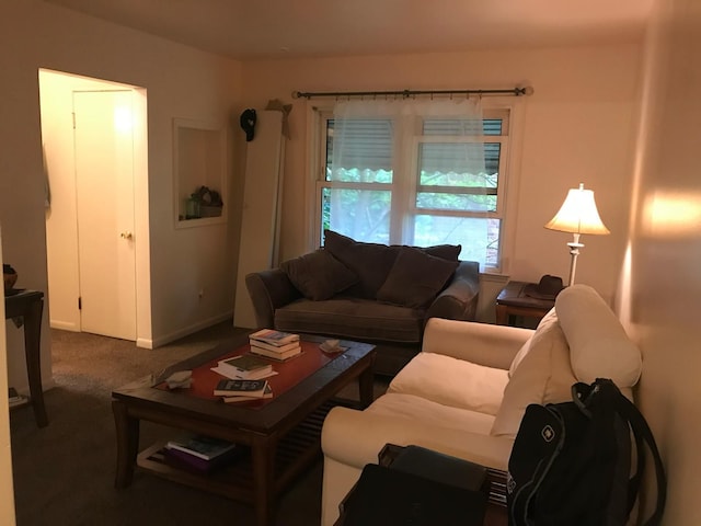 living room with dark colored carpet