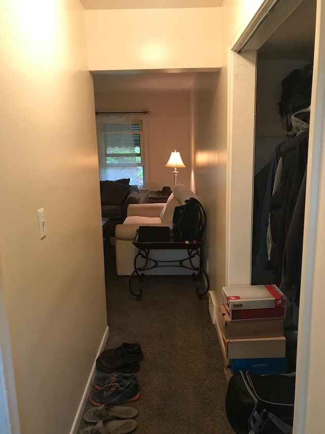 20920/2 Moross Rd, Grosse Pointe, MI 48236 - hallway with carpet floors and baseboards