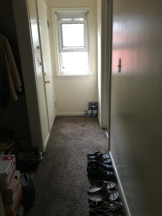 20920/2 Moross Rd, Grosse Pointe, MI 48236 - hall featuring carpet flooring
