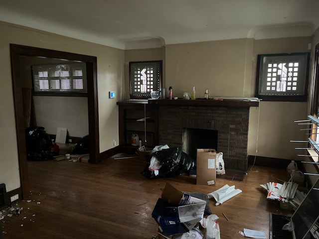 living room with a fireplace and hardwood / wood-style flooring