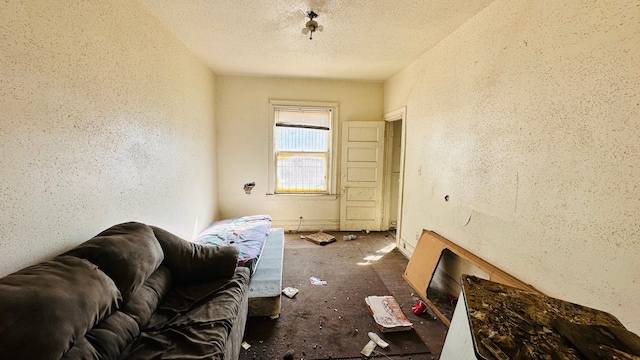 miscellaneous room with a textured ceiling