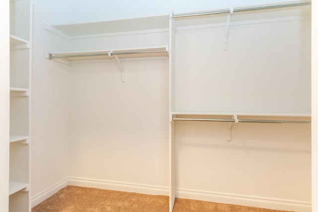 walk in closet with light carpet