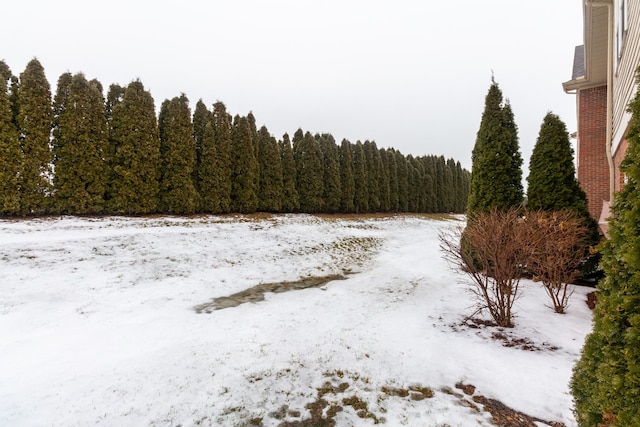 view of yard covered in snow