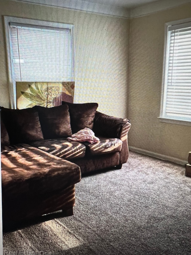 living room with carpet