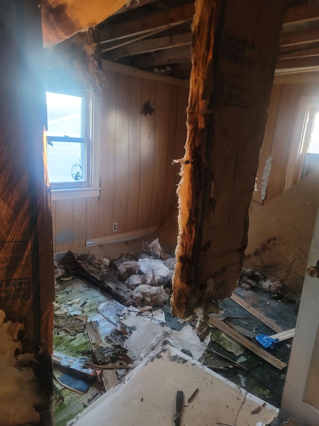 miscellaneous room featuring plenty of natural light and wooden walls